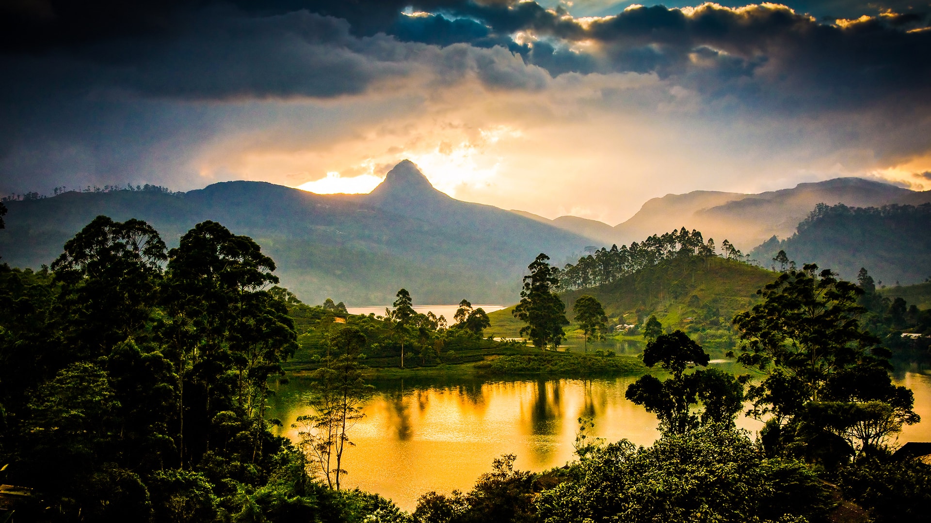 adam's peak sri lanka